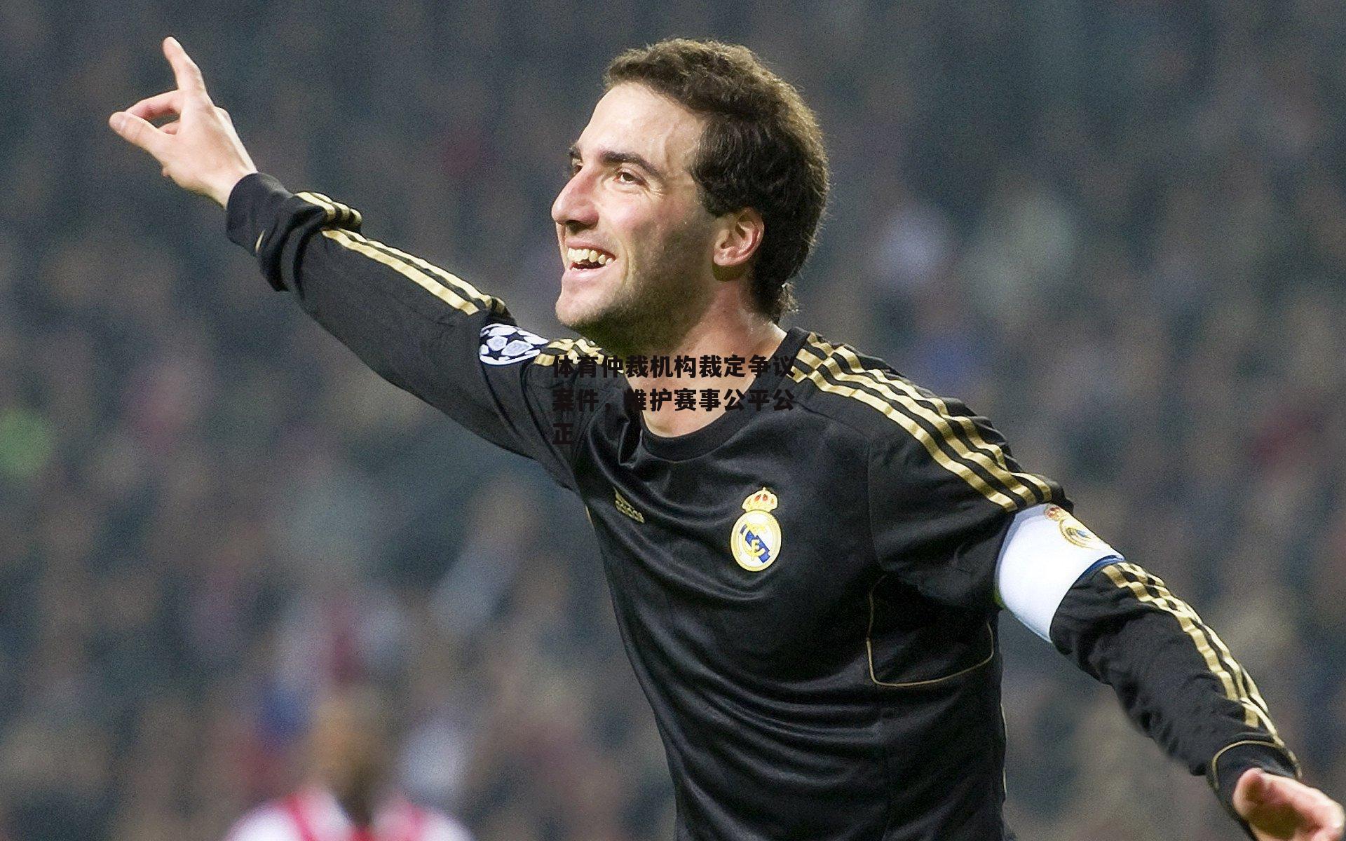 体育仲裁机构裁定争议案件,维护赛事公平公正