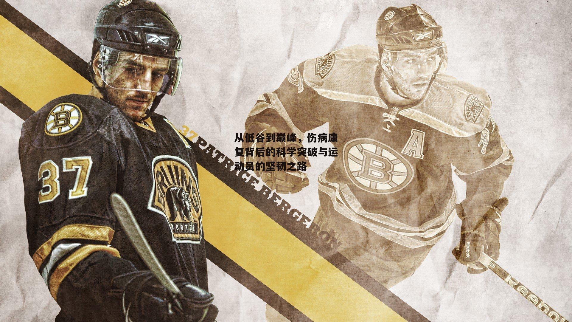 从低谷到巅峰,伤病康复背后的科学突破与运动员的坚韧之路